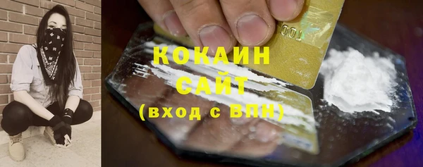 крисы Покачи