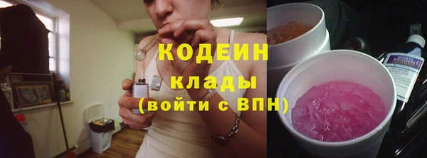 крисы Покачи