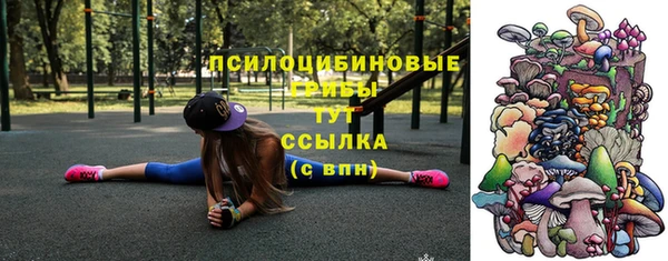 крисы Покачи