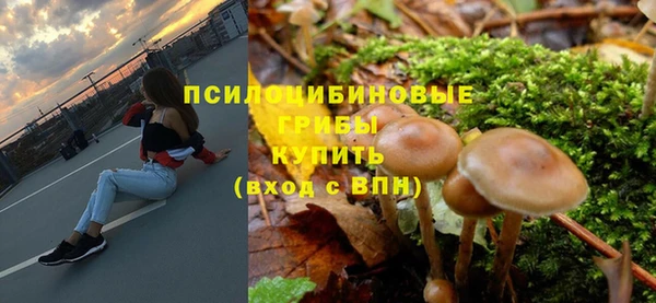 крисы Покачи