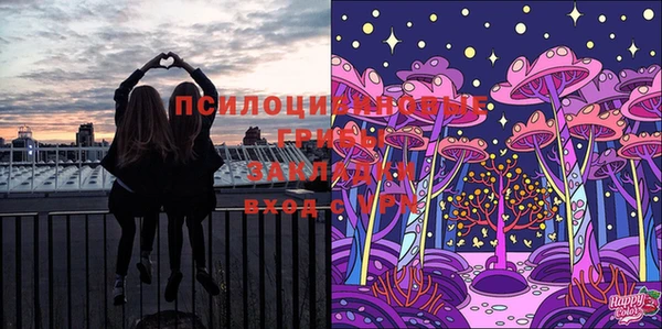 крисы Покачи
